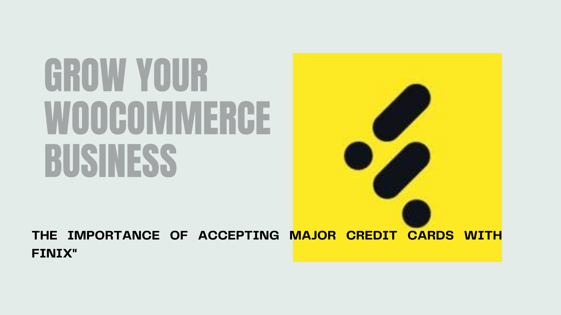 Why Accepting Credit Cards is Crucial for Growing Your WooCommerce Business with Finix